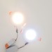 Saten Krom Sıva Altı Spot Cob Led Armatür 5W Trafolu