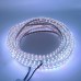 Sunlight Hortum Şerit Led Işık 3 Çip Fişli 1 Metre 6 Renk