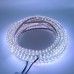 Sunlight Hortum Şerit Led Işık 3 Çip Fişli 1 Metre 6 Renk