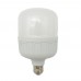 Jumbo Torch 40 Watt E27 Led Ampul Beyaz Işık