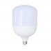 Jumbo Torch 60 Watt E27 Led Ampul Beyaz Işık